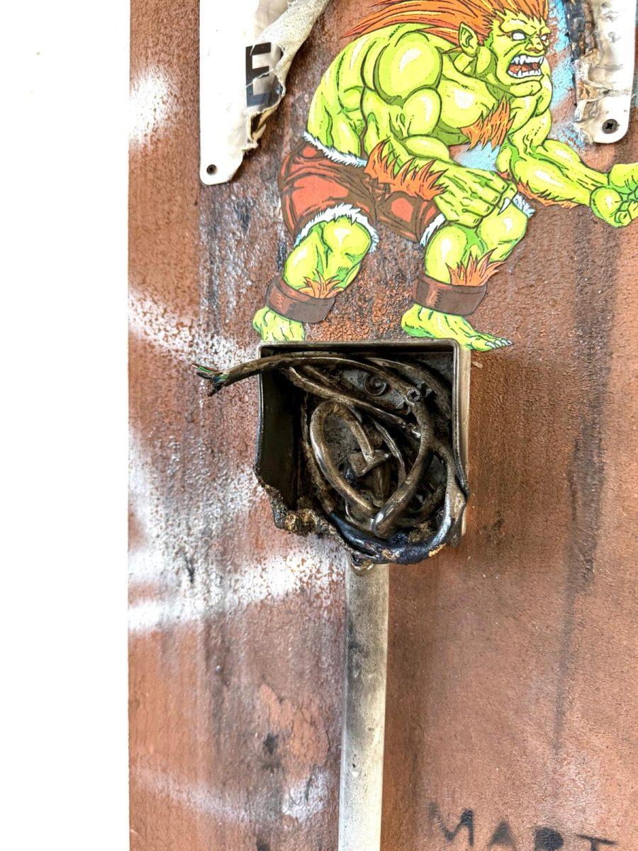 BLANKA street fighter (broken wall) (Copia) (Copia) - immagine 3
