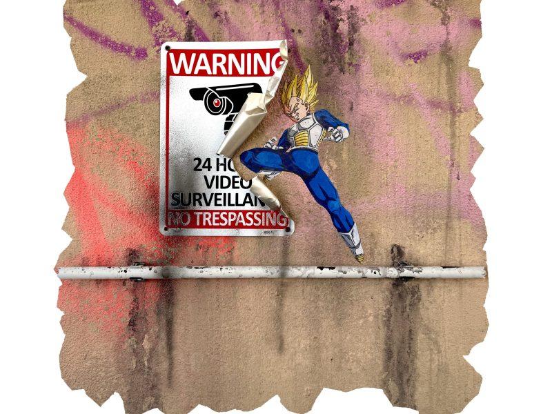 Vegeta. DRAGON BALL. Stop Control. Broken Wall.